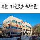 부천자연생태박물관 이미지