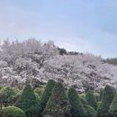 일동농장 이미지