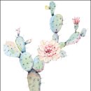 주일목장 이미지