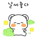 워시엔조이용인 이미지