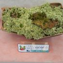 원남면주민자치센터 이미지