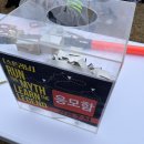 문화공원 | 스톤러닝 : 2025 제주돌문화공원 스톤러닝 후기