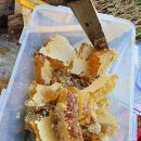 박진옥농장 이미지