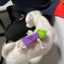 송주농장 이미지