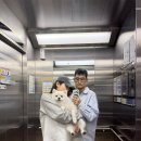 이쁜누나PC | [임신36-38주] 신혼일기는 이제 없어~ 출산 전 마지막 외출 / 소소한 마지막 새댁으로의 일상!