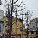 화덕 | [광화문 화덕피자] 광화문나폴리 /내돈내산 /마르게리따, 봉골레파스타 후기 /화덕피자 맛집