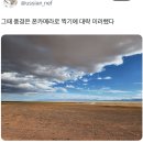 비도 Daum카페