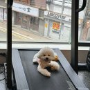 비너스짐 이미지