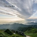 (주)라임 이미지