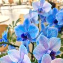 수학다움수학교습소 이미지