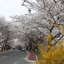 김유신장군묘 이미지