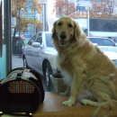 허동물병원 이미지