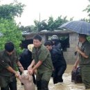 예쁜돼지 이미지