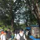 황금수영장 | 경기도 취사 가능 수영장| 평택 황금수영장 주말 오픈런 후기
