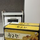 제주도 황금향 10kg 택배 내돈내산 부자팜 리얼후기 🍊