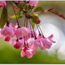 김포다도박물관 이미지