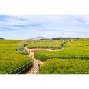 (주)동백관광 이미지