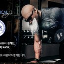 하빈저 이미지