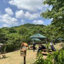 원적산체육공원 이미지