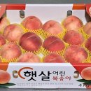 행복농산물 이미지