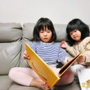 시끌벅쩍 신나는 그림책 읽기 | 유아 책육아 그레이트북스 신간 춤추는 포포 세계 창작동화 전집 세돌아기책 리뷰