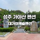 대가야 캐슬펜션 | [성주 펜션] 가야산 펜션 대가야캐슬펜션 후기!
