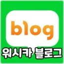 버블카셀프세차장 이미지