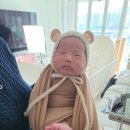 세종 감성더하기 본아트 +50일 +100일 촬영 후기