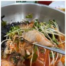 살아있네회집