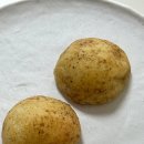 애견의 정원 이미지