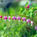 GMW모닝클럽 평생건강지킴이안중센터 이미지