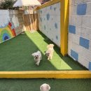 폴링인독 이미지