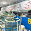 도곡수산센타