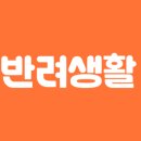 산아래펜션A동 이미지