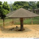 계림산장 이미지