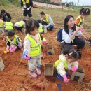 전남도청비둘기어린이집 이미지