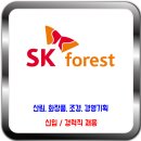 SK임업 채용 / 신입 경력직 채용 이미지