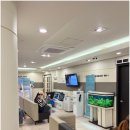 엄소아과의원 | 아버지 발톱무좀과 내성발톱 고민 해결! 엄소아과의원에서 안전하게 치료받은 후기