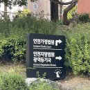 인천가정법원 | [인천] 인천가정법원 출생신고서 열람 발급 후기 (만 30세, 준비물, 발급과정 총정리)