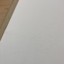 보타니컬아트(식물세밀화) 이미지