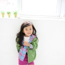 김채은 카카오 검색결과