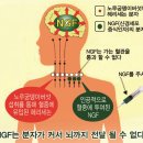 김상용농장 | 노루궁뎅이버섯 농장, 먹는방법, 즙 이용후기