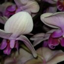 백신중학교 정문 이미지