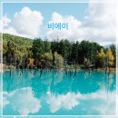 햇살가득약국 | 하루로 담은 북해도의 가을, 삿포로 비에이 버스투어 후기