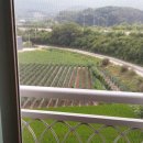 영종역공인중개사사무소 이미지