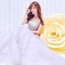 보라모텔 이미지