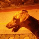 해피하이킹 이미지