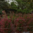 남원읍-40 이미지