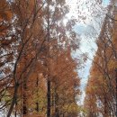 (주)경주산림환경 이미지