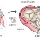 지축오투동물의료센터 이미지